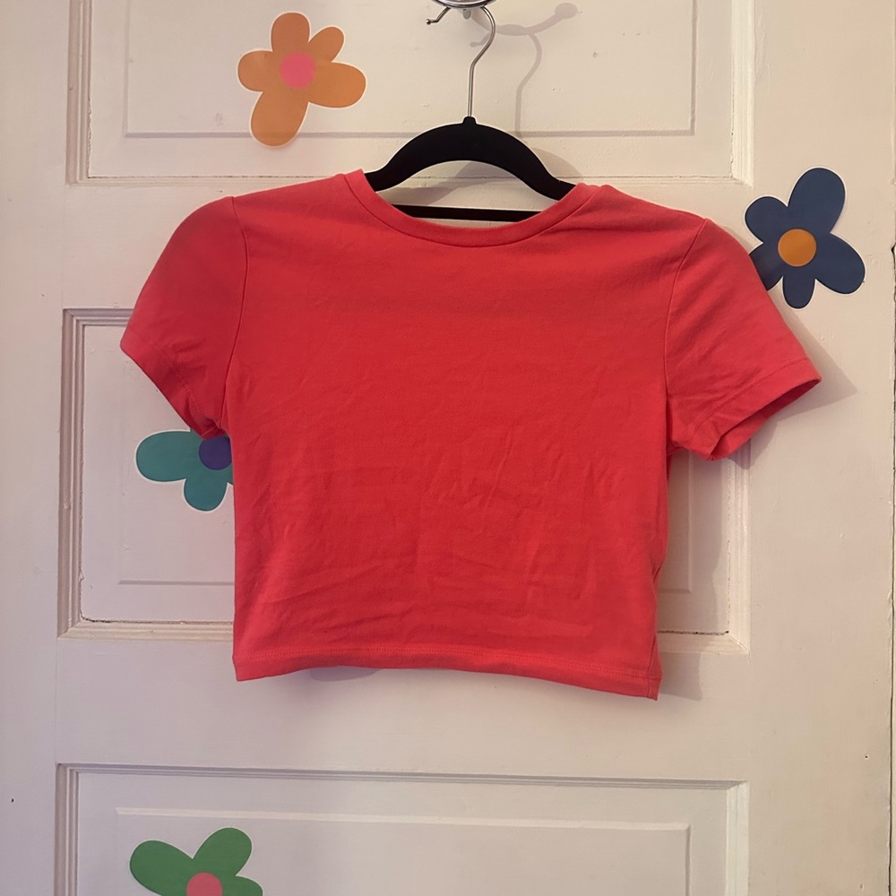 Pink Crop Top Wild Fable